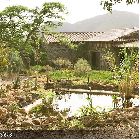 Live Finca San Miguel San Miguel de Abona Esterno foto