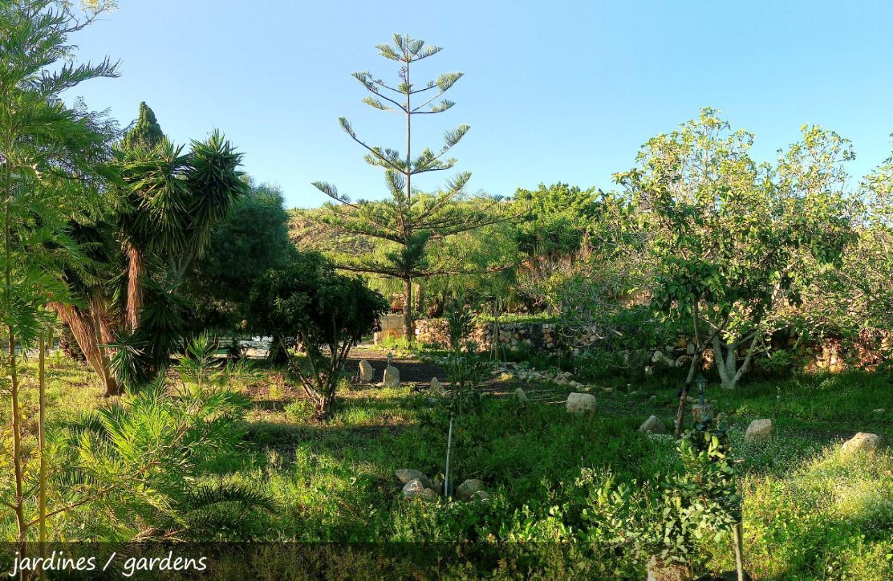 Live Finca San Miguel San Miguel de Abona Esterno foto